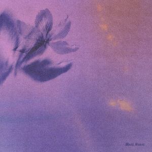 临沂螺杆空压机厂家用小鲤营销导航
